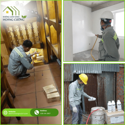 Công Ty Diệt Mối Uy Tín Huế – Bảo Vệ Nhà Ở Và Tài Sản Của Bạn Tận Gốc